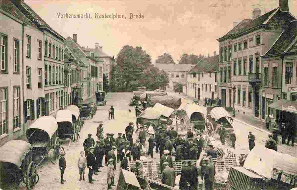 Breda. Varkensmarkt op het Kasteelplein, 1917